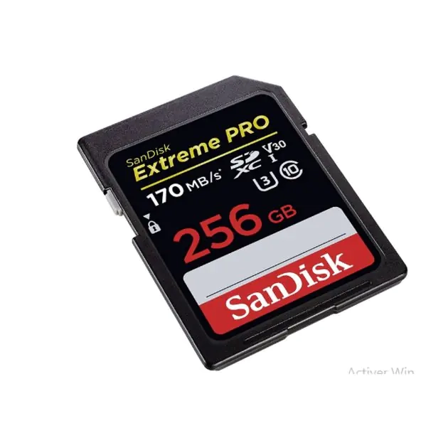 sandisk-externe-pro---256-go---sdxc-170-mb-s---uhs-i