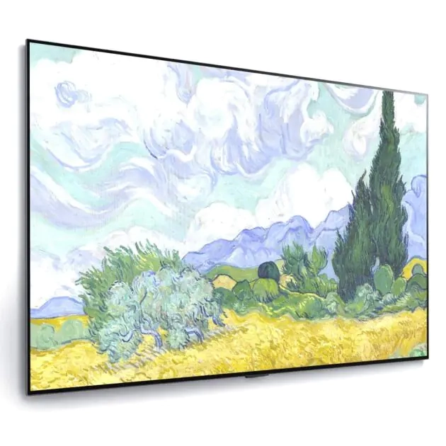 tv-lg-65-pouces-g1-oled---oled65g1pva---4k---12-mois-de-garantie