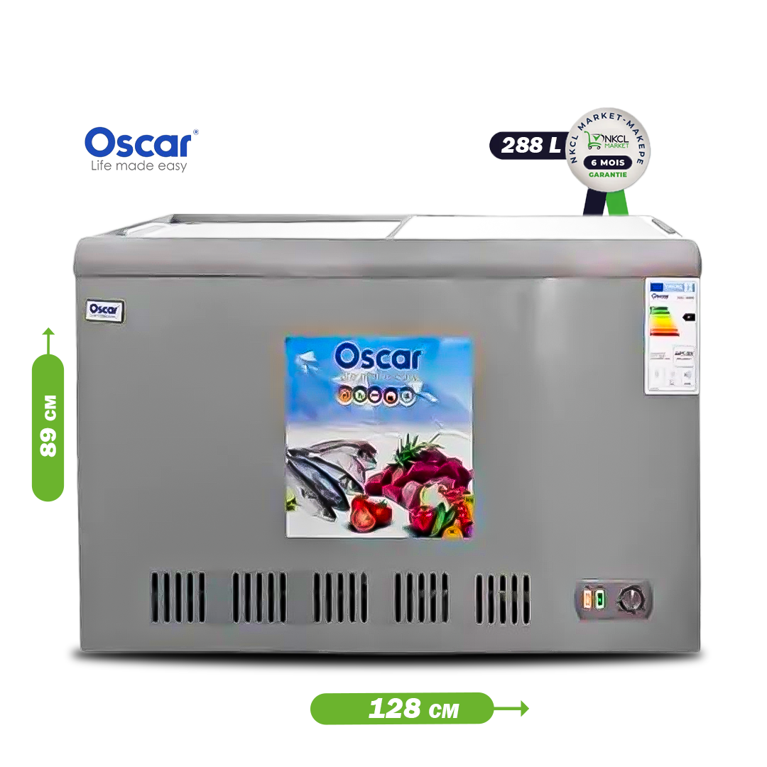 congélateur-oscar-–-288-litres-–-osc-455g-–-06-mois-de-garantie---argent